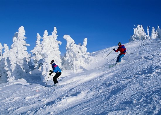 Manali Honeymoon Package  